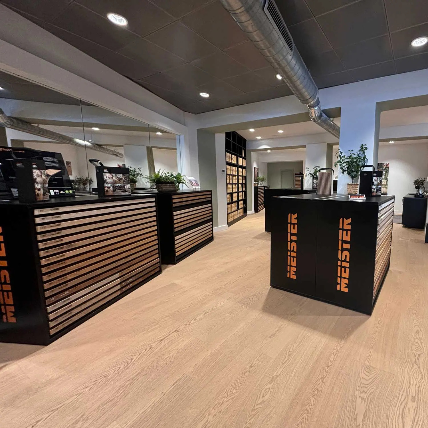Showroom Meister